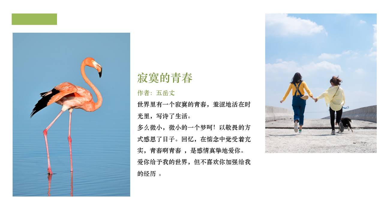 旅游画册 (57).pptx